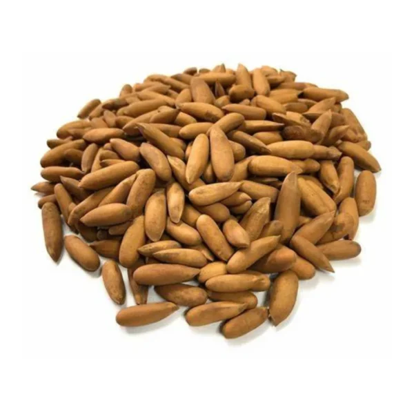 Shelled Pine Nuts Jalghoza