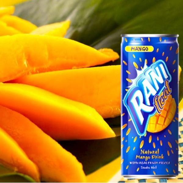 Rani Mangos Fruit Drink - 235ML Cans Beverage with Real Mango Pulp & Peach Chunks High in Sugar Non-Carbonated Drink